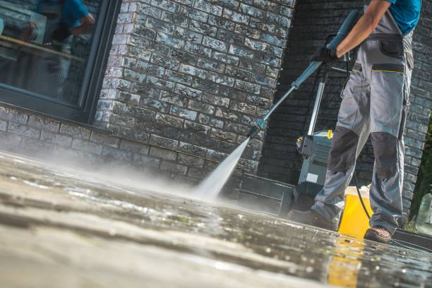 Best Dumpster Area Cleaning  in Metamora, IL
