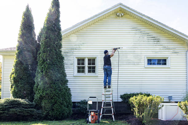 Best Rust Removal  in Metamora, IL